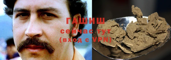 гашик Алексин