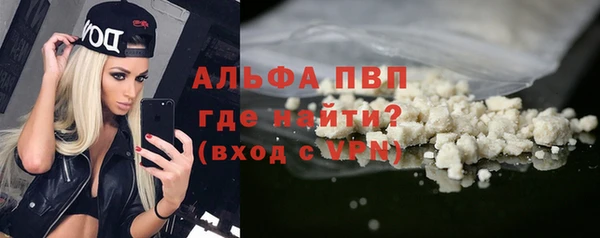 гашик Алексин