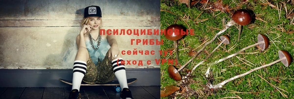 гашик Алексин