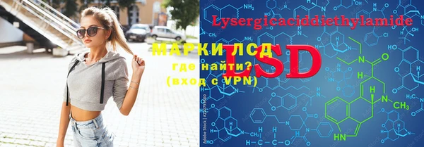 гашик Алексин