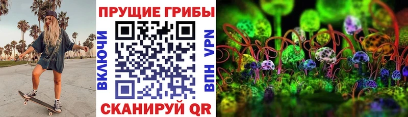 где купить наркоту  kraken как зайти  Галлюциногенные грибы Psilocybine cubensis  Баймак 